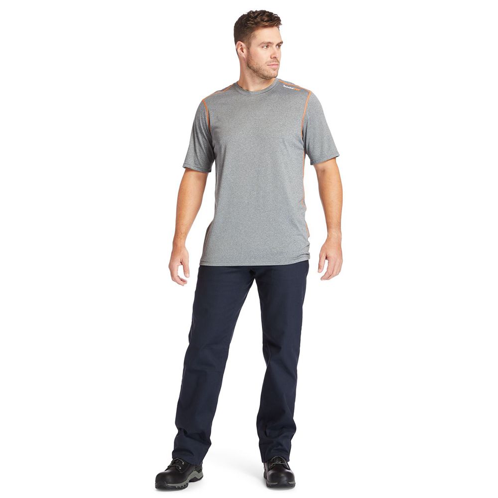 Camisetas Timberland Argentina Hombre - Pro® Big & Tall Wicking Good Sport Short-Sleeve - Gris - YBW